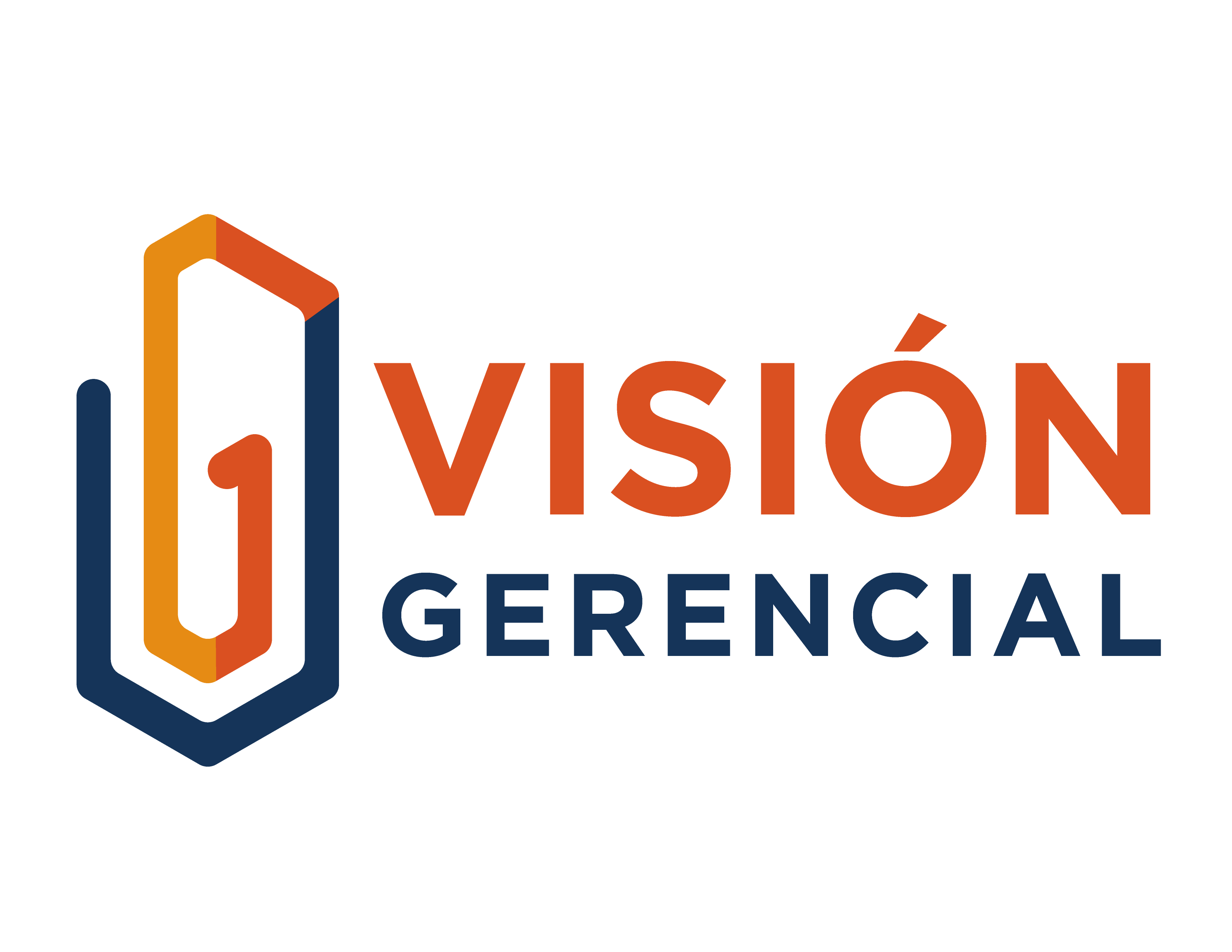 Vision Gerencial